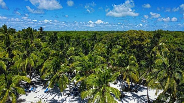 Pourquoi choisir le Mexique comme destination de voyage?